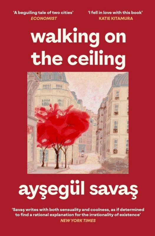 Walking on the Ceiling -  Aysegül Savas