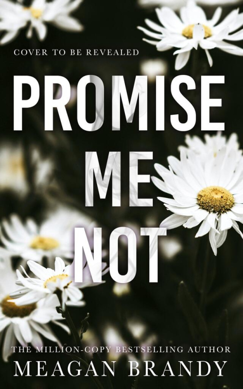Promise Me Not - Meagan Brandy - kniha z kategorie Romantická