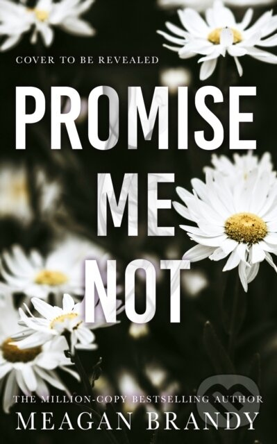 Promise Me Not - Meagan Brandy - kniha z kategorie Romantická