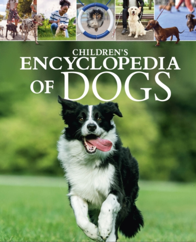 Arcturus Publishing Ltd Children's Encyclopedia of Dogs - Martin, Claudia