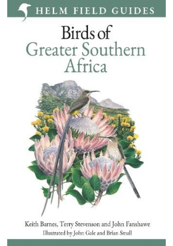 Field Guide to Birds of Greater Southern Africa Bloomsbury Publishing PLC