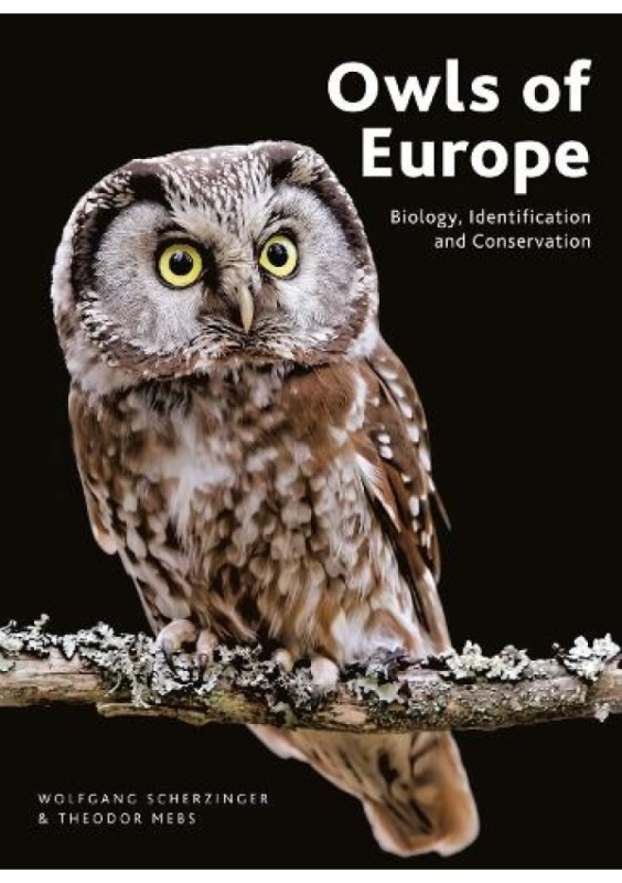 Owls of Europe, Biology, Identification and Conservation Bloomsbury Publishing PLC