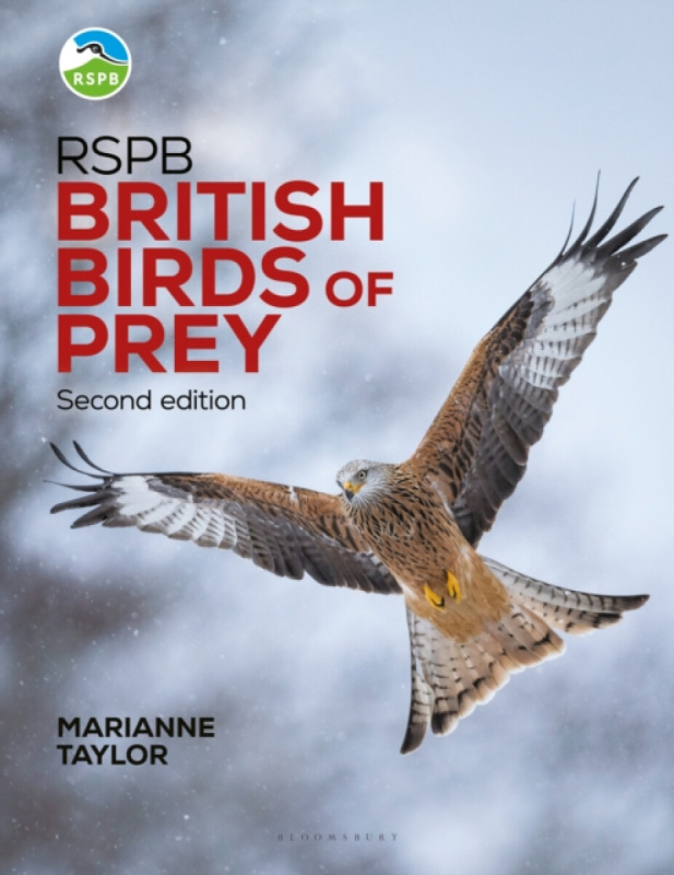 Bloomsbury Publishing PLC RSPB British Birds of Prey - Taylor, Marianne