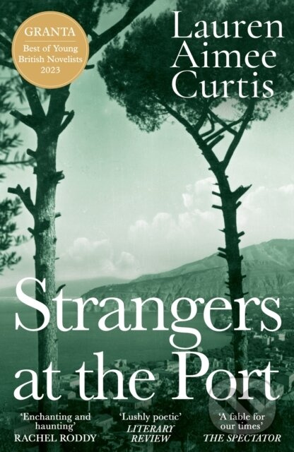 Strangers at the Port (Longlisted for the Miles Franklin Literary Award 2024) - kniha z kategorie Společenská beletrie