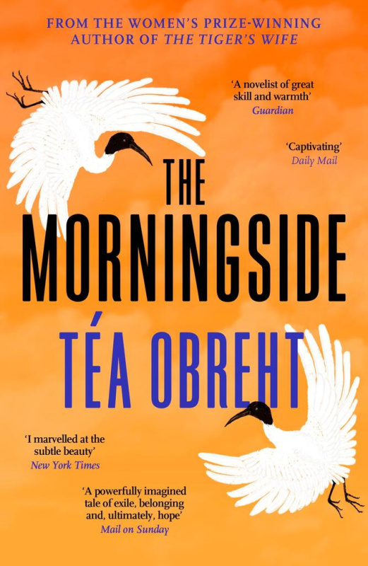 Morningside, Longlisted for the Climate Fiction Prize Orion Publishing Co