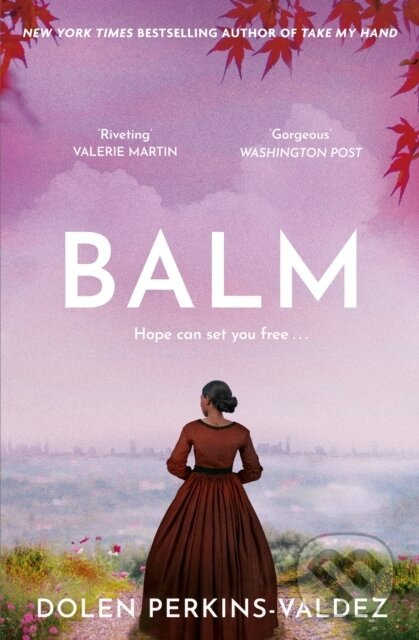 Balm (From the New York Times bestselling author of Take My Hand) - kniha z kategorie Společenská beletrie