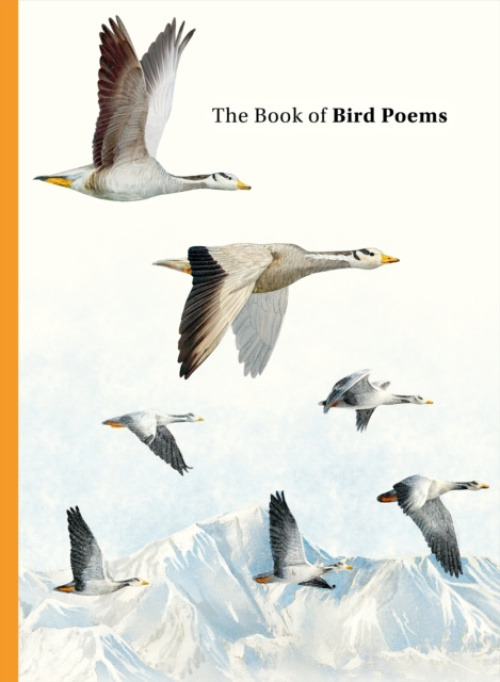 Orion Publishing Co Book of Bird Poems - Sampson, Ana