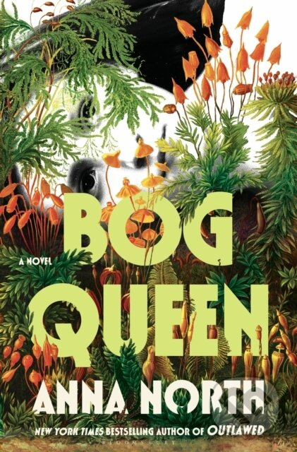 Bog Queen - Anna North - kniha z kategorie Společenská beletrie
