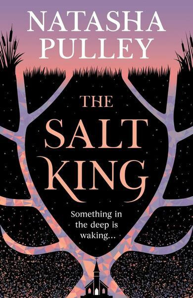 The Salt King -  Natasha Pulley