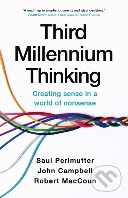 Third Millennium Thinking (Creating Sense in a World of Nonsense)