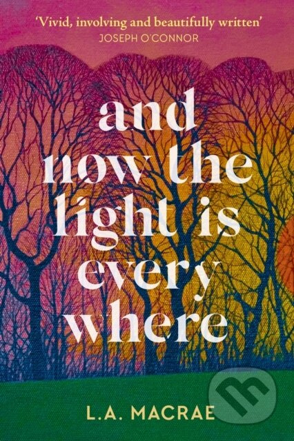 And Now the Light is Everywhere (A stunning debut novel of family secrets and redemption) - kniha z kategorie Detektivky, thrillery a horory