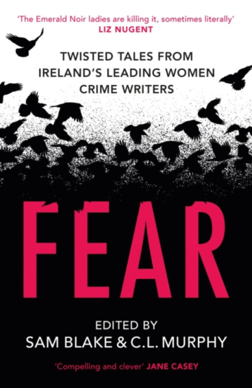 Hachette Books Ireland Fear - Blake, Sam a Murphy, CL