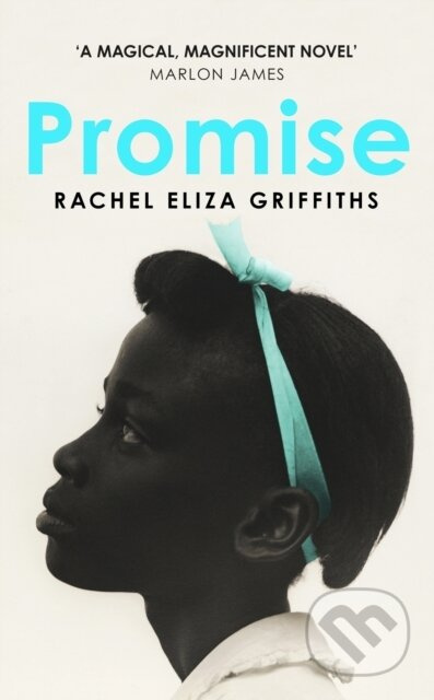 Promise - Rachel Eliza Griffiths - kniha z kategorie Společenská beletrie