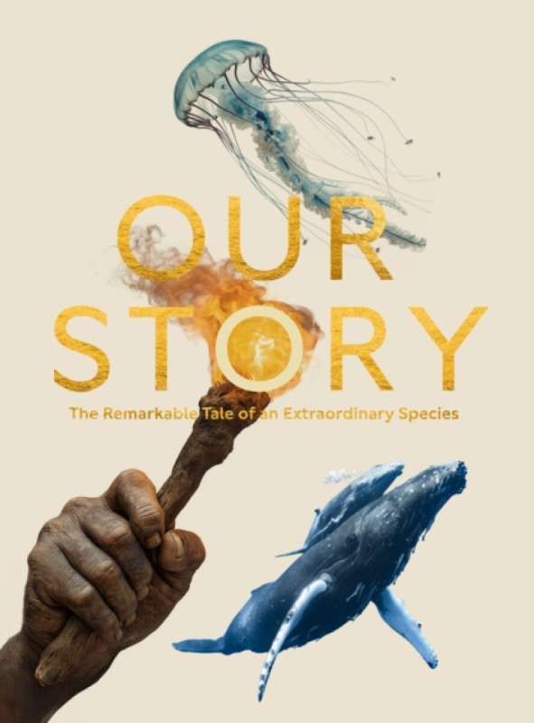 John Murray Press Our Story - Butfield, Colin a Hughes, Jonnie