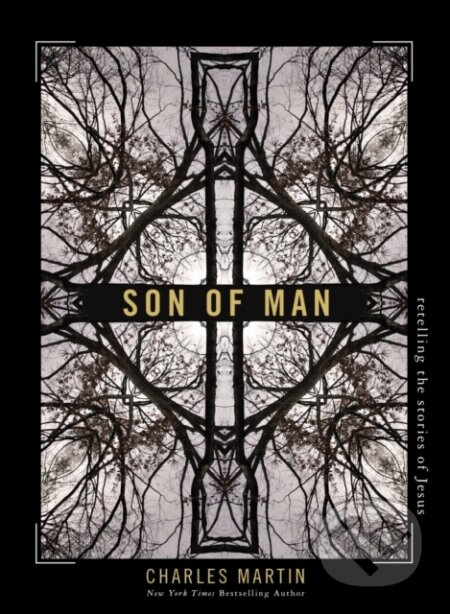Son of Man (Retelling the Stories of Jesus) - Charles Martin - kniha z kategorie Společenská beletrie
