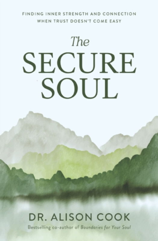 Thomas Nelson Publishers Secure Soul - Cook, Dr Alison