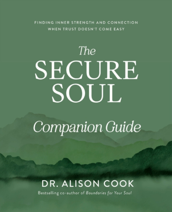 Thomas Nelson Publishers Secure Soul Companion Guide - Cook, Dr Alison
