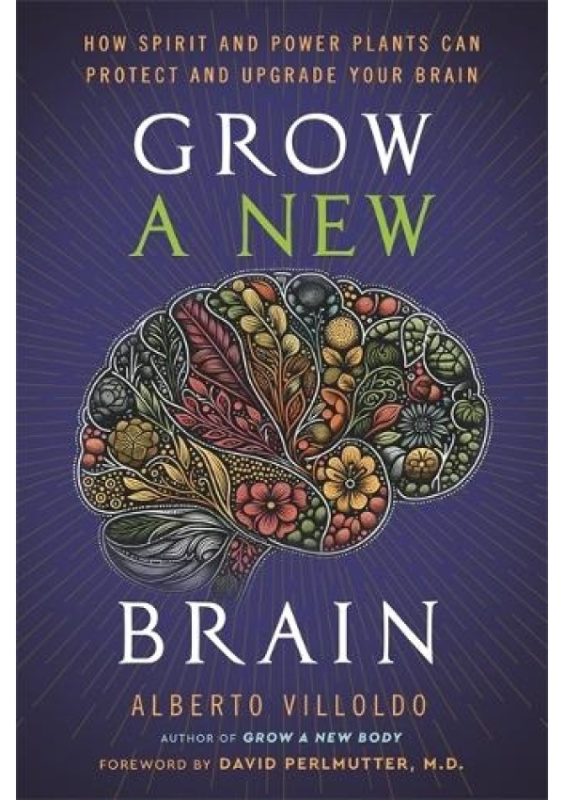 Grow a New Brain, How Spirit and Power Plants Can Protect and Upgrade Your Brain Hay House Inc