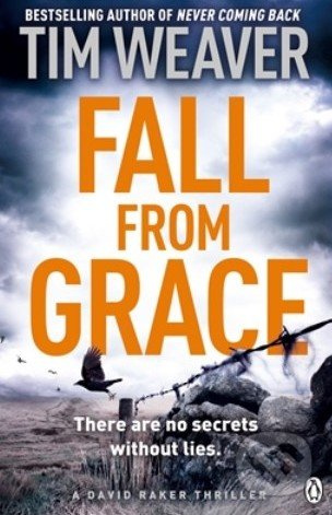 Fall From Grace - Tim Weaver - kniha z kategorie Beletrie