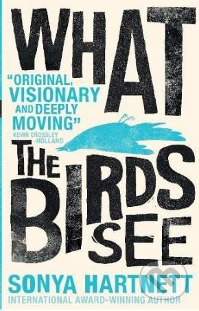 What the Birds See - Sonya Hartnett - kniha z kategorie Beletrie pro děti