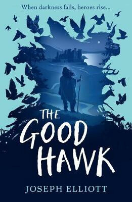 The Good Hawk - Joseph Elliott - kniha z kategorie Sci-fi, fantasy a komiksy