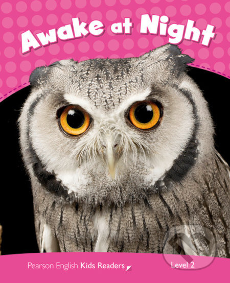 Penguin Kids 2 Awake At Night Reader CLIL Pearson