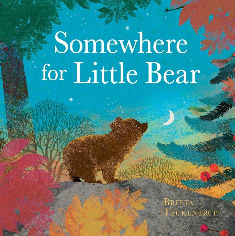 Somewhere for Little Bear - Britta Teckentrup - kniha z kategorie Pro děti
