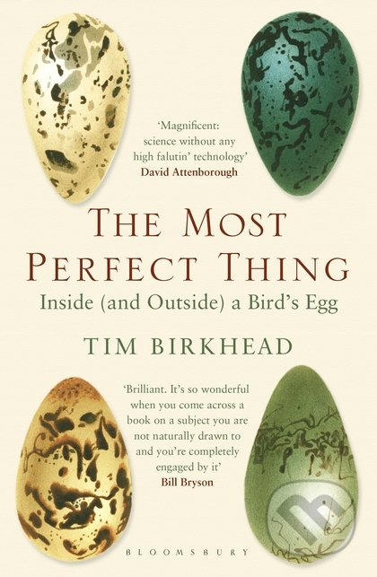 The Most Perfect Thing (Inside (and Outside) a Bird's Egg) - kniha z kategorie Přírodní vědy a technika