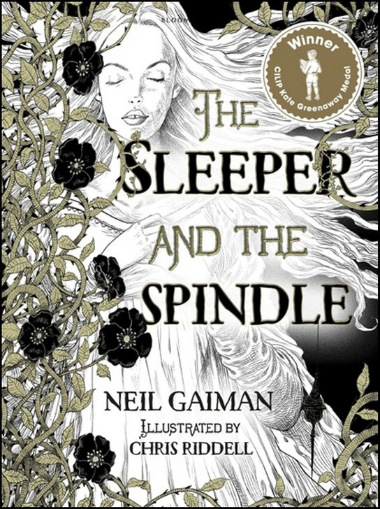 The Sleeper and the Spindle -  Neil Gaiman