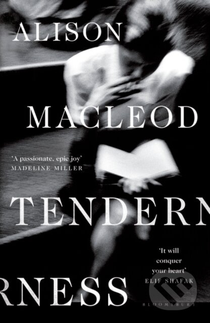 Tenderness - MacLeod Alison MacLeod - kniha z kategorie Společenská beletrie
