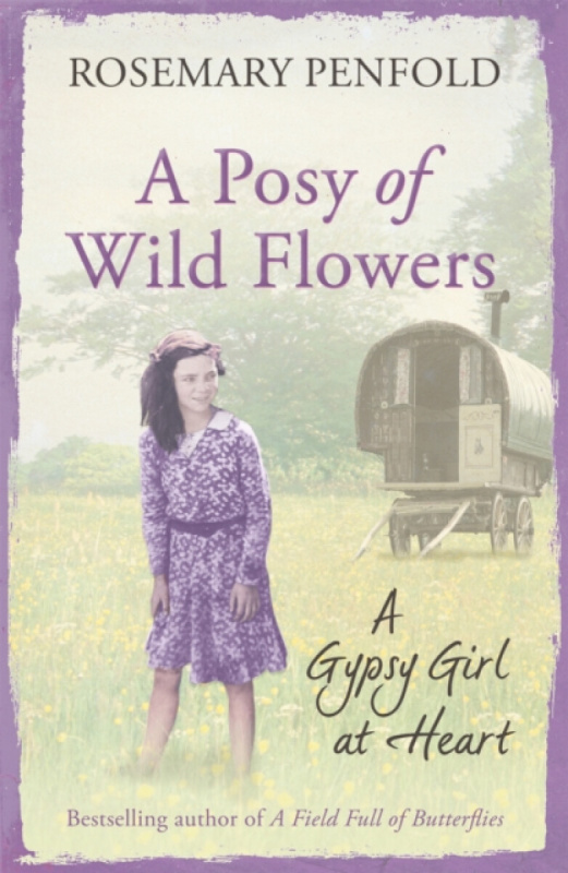 A Posy of Wild Flowers - Rosemary Penfold