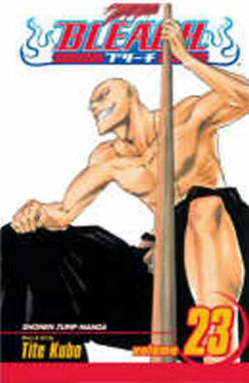Bleach, Vol. 23 - Tite Kubo