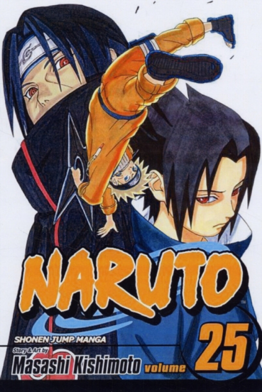 Naruto, Vol. 25: Brothers - Masashi Kishimoto - kniha z kategorie Sci-fi, fantasy a komiksy