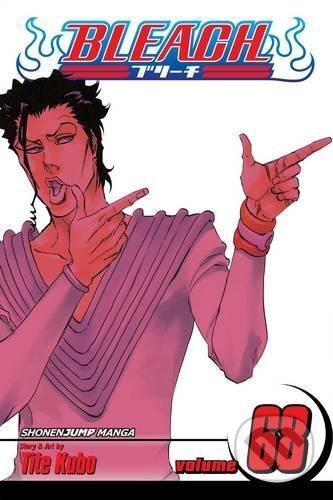 Bleach 56 - Tite Kubo - kniha z kategorie Komiksy