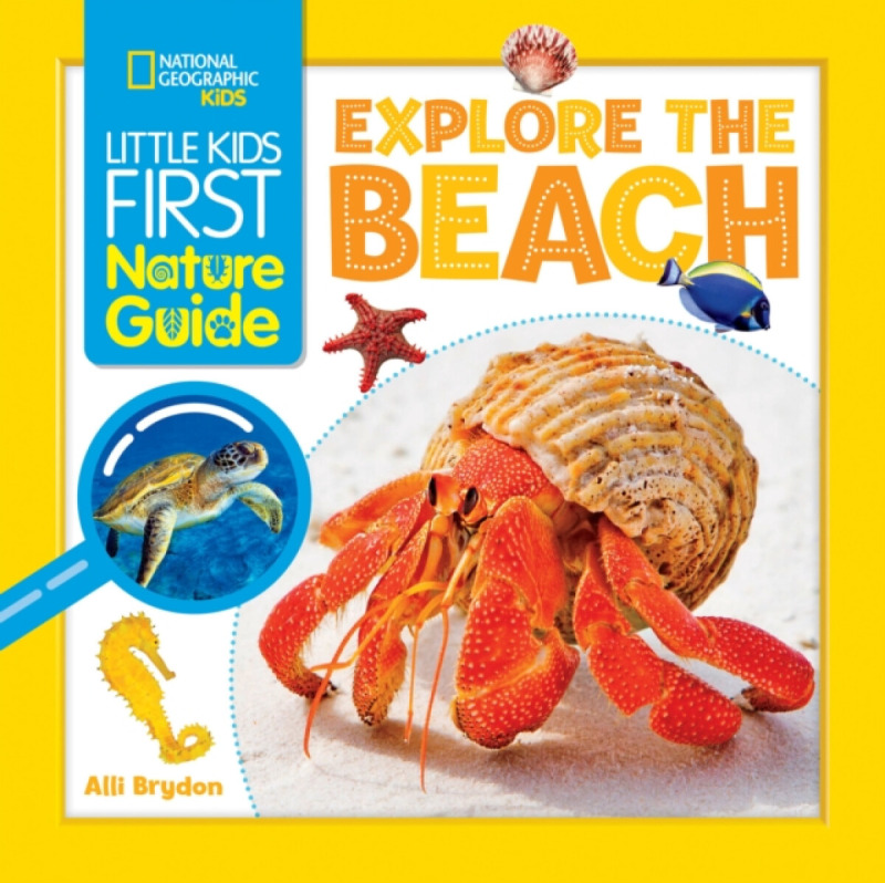 Little Kids First Nature Guide: Explore the Beach - Alli Brydon, National National Geographic Kids