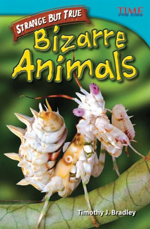 Strange but True: Bizarre Animals - Timothy Bradley, Timothy J. Bradley