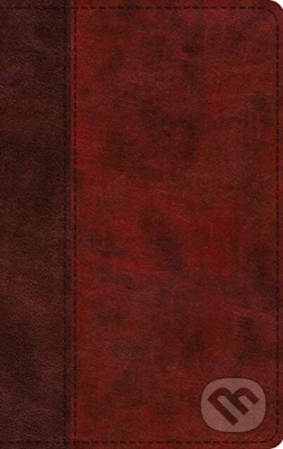 ESV Large Print Thinline Bible - kniha z kategorie Filozofie