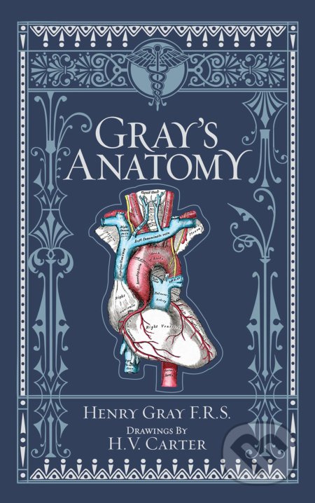 Gray's Anatomy (Barnes & Noble Collectible Editions) - kniha z kategorie Medicína