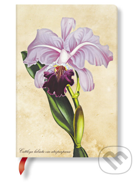 Paperblanks - zápisník Brazilian Orchid (mini, čistý)