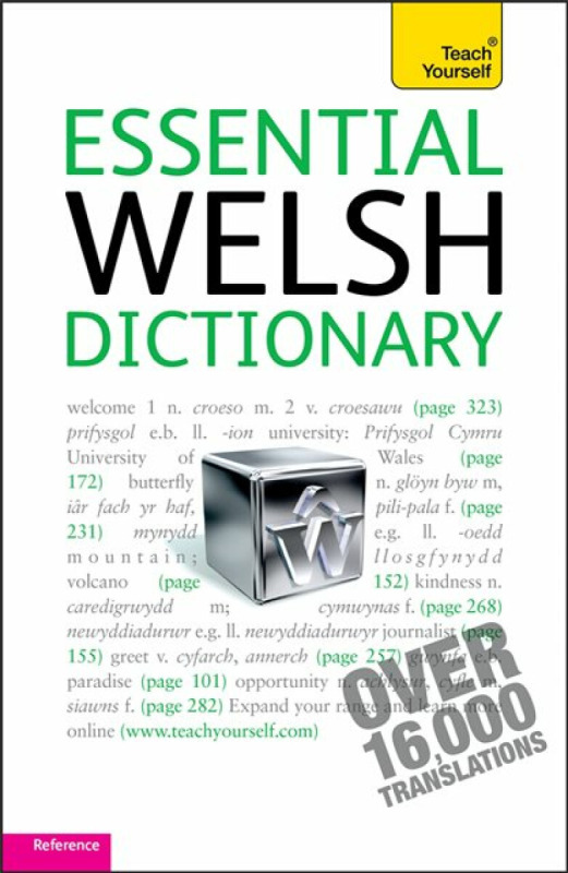 Essential Welsh Dictionary - Edwin Lewis