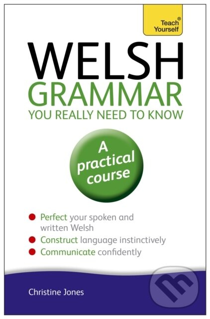 Welsh Grammar You Really Need to Know: Teach Yourself