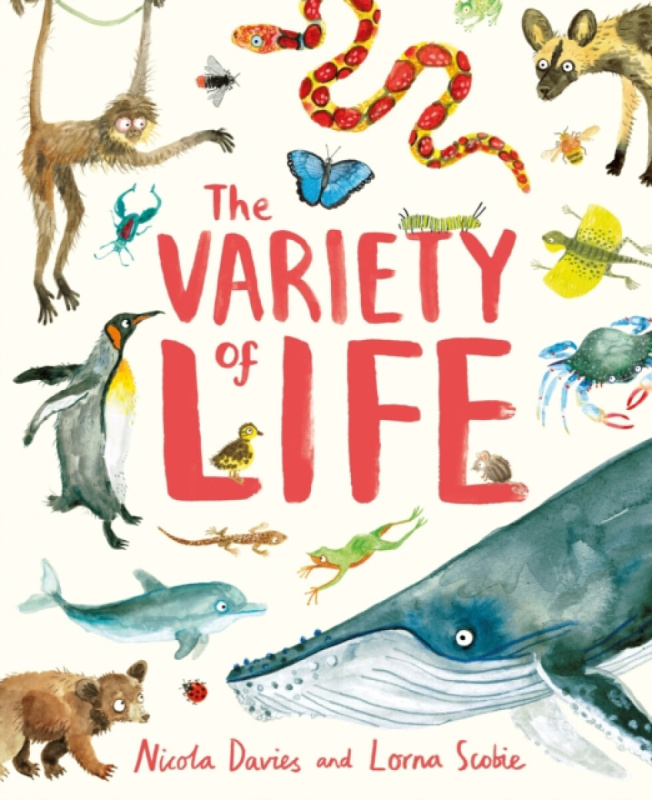 Hachette Children's Group Variety of Life - Davies, Nicola