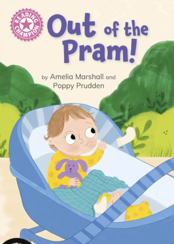 Hachette Children's Group Reading Champion: Reading Champion Pink Band Book 2 - Franklin Watts