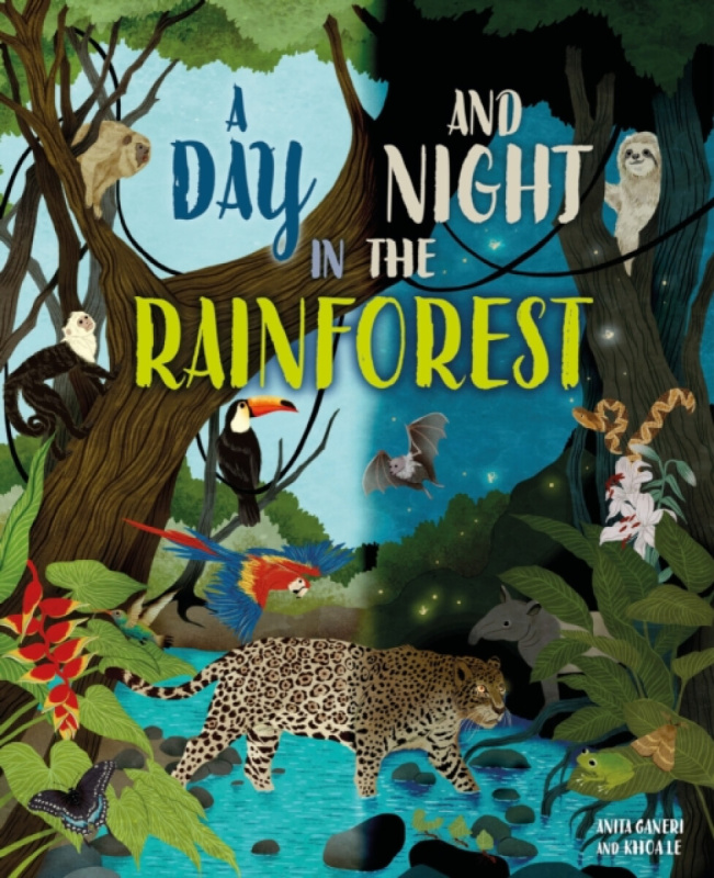 Hachette Children's Group Day and Night: In a Rainforest - Ganeri, Anita