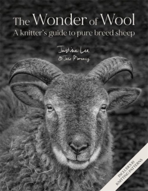 David & Charles Wonder of Wool - Lee, Justine a Morency, Jess