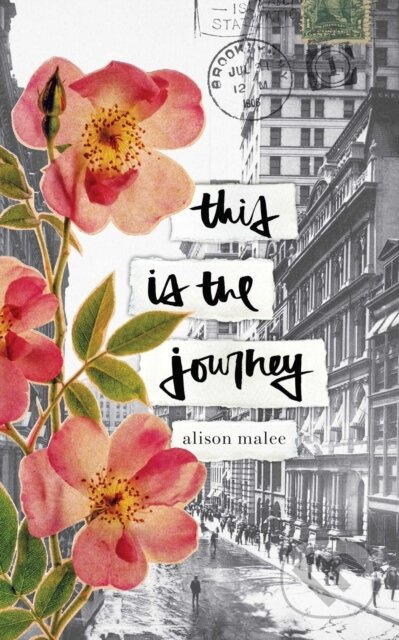 This Is the Journey - Alison Malee - kniha z kategorie Poezie