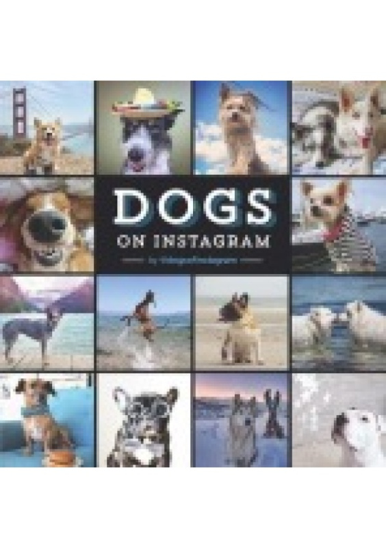 Dogs On Instagram Chronicle Books