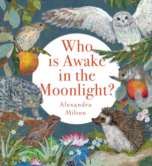 Boxer Books Limited Who Is Awake in the Moonlight? - Milton, Alexandra