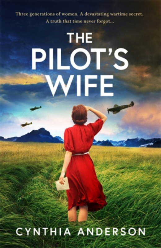 Bonnier Books Ltd Pilot's Wife - Anderson, Cynthia