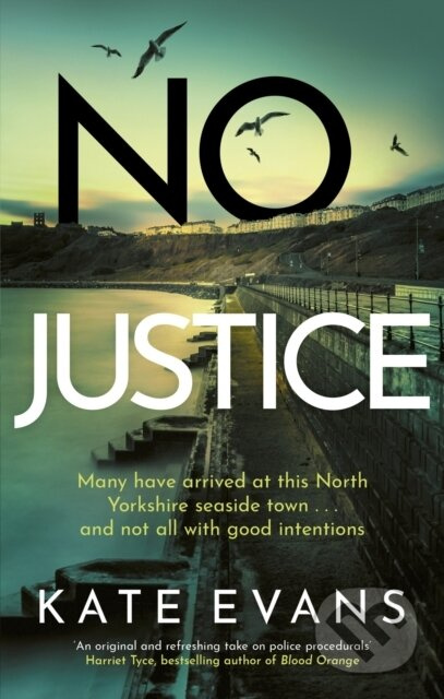 No Justice - Kate Evans - kniha z kategorie Detektivky, thrillery a horory